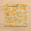Pumpkin Patch Mini Skein