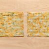 Pumpkin Patch Mini Skein